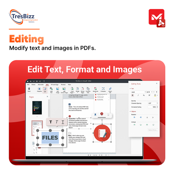 PDF Extra Personal - Image 3