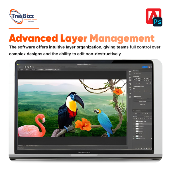 Photoshop CC For Teams - Image 3
