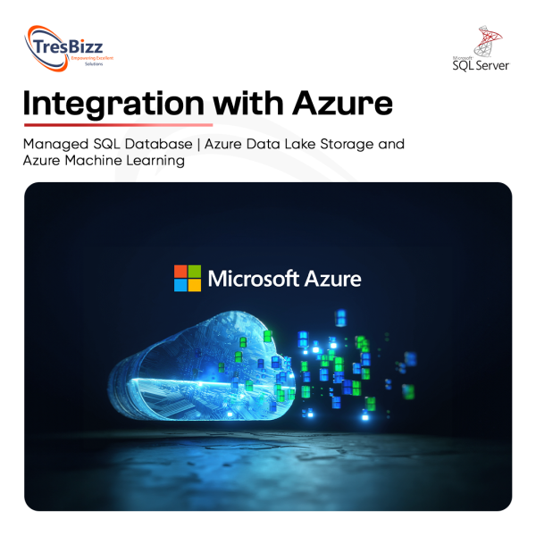 Microsoft SQL Server 2022 Standard - Image 3